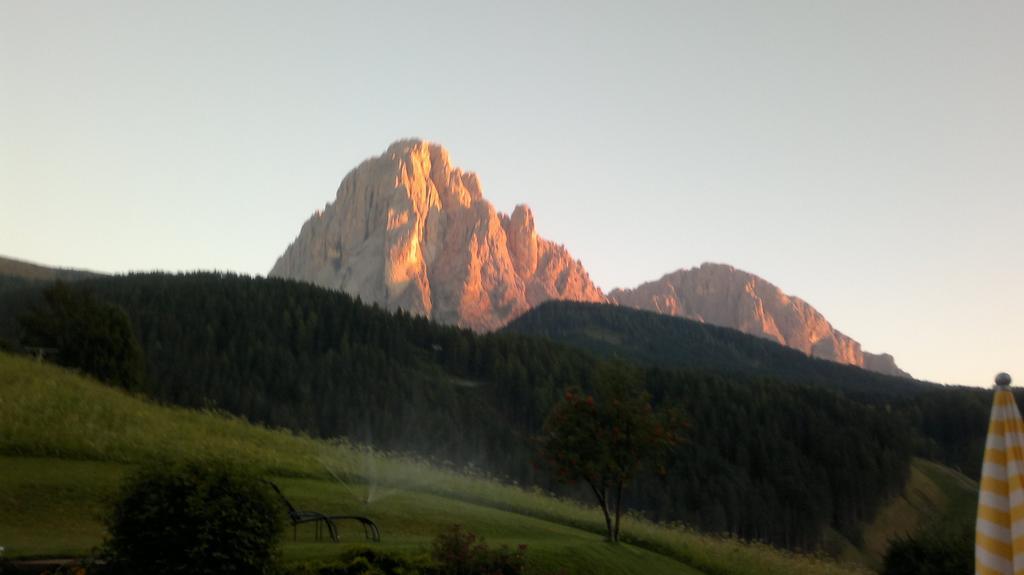 Apartments Antines Selva di Val Gardena Luaran gambar